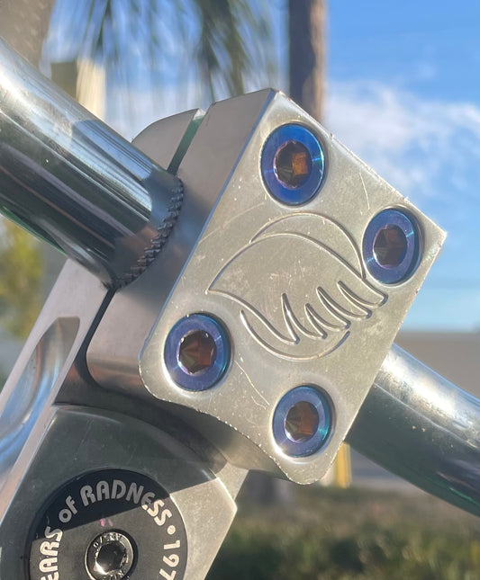 Bar mount bolts for se bike